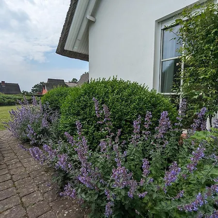 Am Boddenweg - Sunddriewer * 博恩